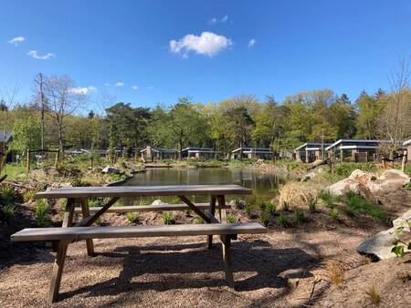 Picknicktafel aan een vijver op vakantiepark EuroParcs De Utrechtse Heuvelrug