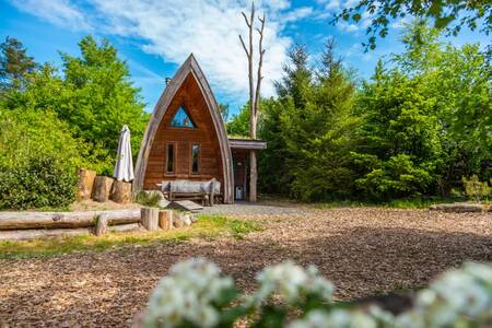 Chalet type "Van Gogh" op vakantiepark EuroParcs De Wije Werelt