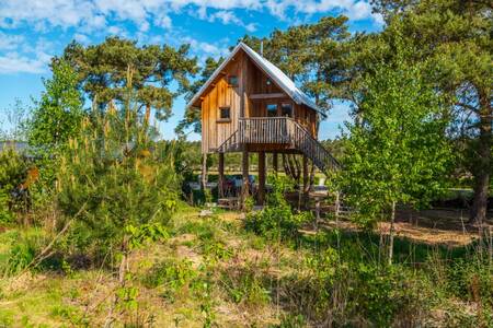 "De Zwerfhut" een soort van boomhut op poten op vakantiepark EuroParcs De Wije Werelt