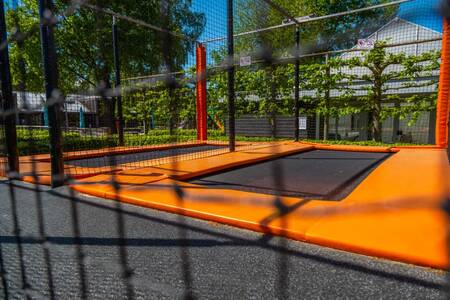 Trampolines op vakantiepark EuroParcs De Wije Werelt