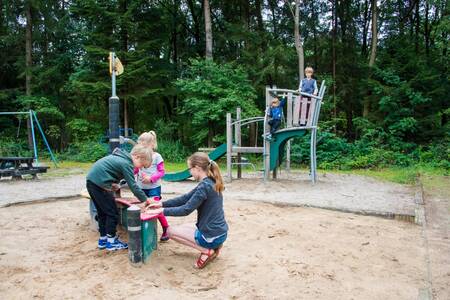 Kinderen spelen in de speeltuin van vakantiepark EuroParcs de Wiltzangh