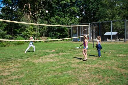 Kinderen aan het volleyballen op vakantiepark EuroParcs de Wiltzangh