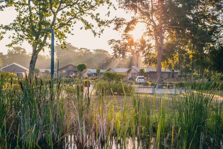 Vakantiehuizen op vakantiepark Europarcs EuroParcs Zilverstrand