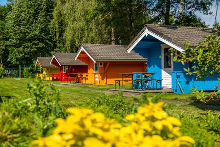 Kleurrijke chalets van het type "Cabin" op vakantiepark Europarcs Het Amsterdamse Bos