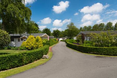 Chalets aan een laan op vakantiepark EuroParcs Molengroet