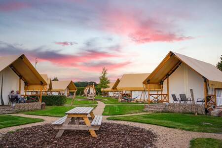 Glampingtenten op een veldje op vakantiepark EuroParcs Poort van Maastricht