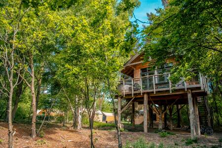 Vakantiepark EuroParcs Ruinen heeft een boomhut geschikt voor 6 personen