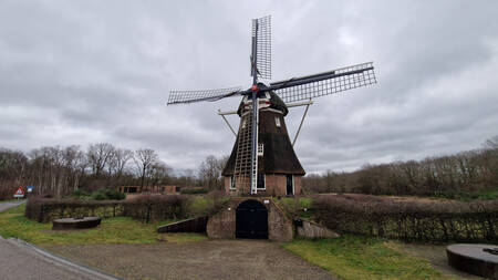 De molen pal naast vakantiepark EuroParcs Ruinen