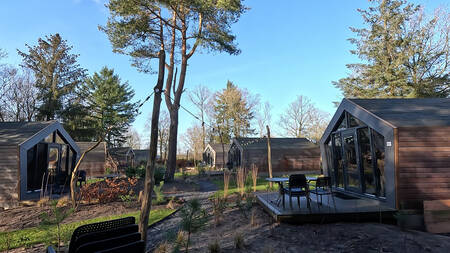 Tiny houses aan een gezellig laantje met lichtsnoeren op EuroParcs Ruinen