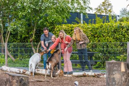 Gezin bij geitjes op de kinderboerderij op vakantiepark EuroParcs Spaarnwoude