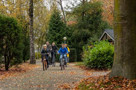 Een gezin fietst tussen de vakantiehuizen op Bungalowpark Het Verscholen Dorp