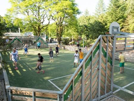 Kinderen spelen op het multifunctionele speelveld op vakantiepark Landal Coldenhove