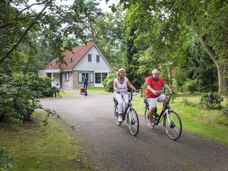 Vakantiehuis op vakantiepark landal De Vlegge