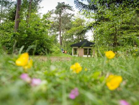 Een vakantiehuis midden in het bos op vakantiepark Landal Heideheuvel