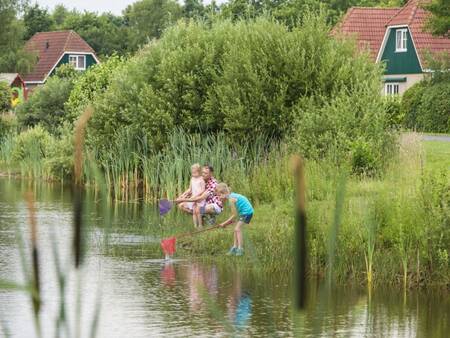 Kinderen spelen met een net in het water op vakantiepark Landal Hunerwold State