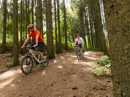 Vakantiepark Landal Kaatsheuvel - Mountainbiken in de bossen van Loonse en Drunense duinen