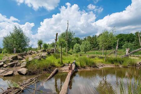 Kinderen spelen in de natuurspeeltuin op vakantiepark Landal Klein Oisterwijk