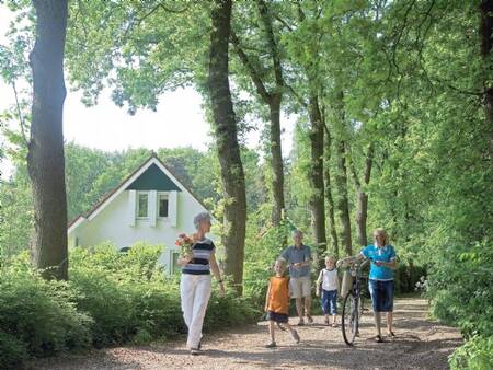 Pad langs een vakantiehuis op vakantiepark Landal Landgoed De Elsgraven