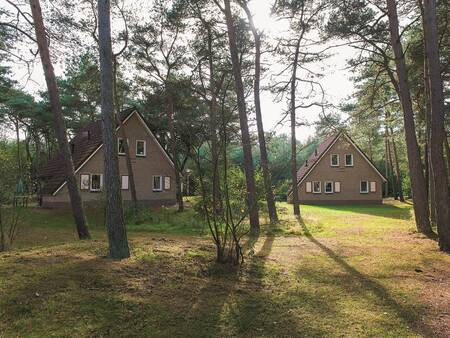 Vrijstaande vakantiehuizen op vakantiepark Landal Landgoed 't Loo