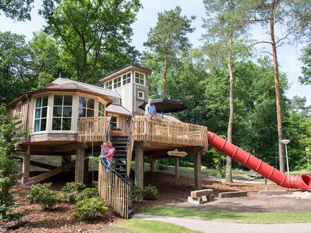 Boomhut: Boomhuis voor 4 personen op vakantiepark Landal-Miggelenberg