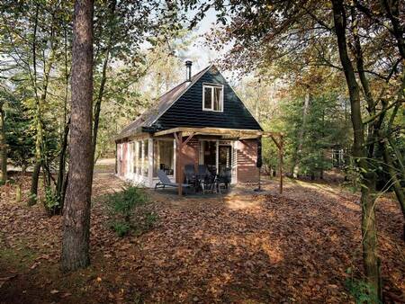 Vrijstaande vakantiewoning in de bossen op vakantiepark Landal Miggelenberg