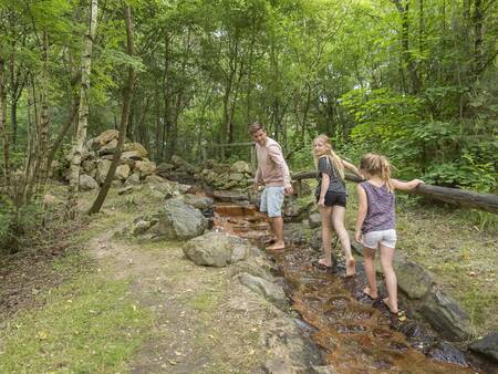 Een gezin wandelt in de bossen nabij Landal Mooi Zutendaal