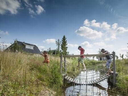 Kinderen lopen over een bruggetje van het natuurbelevenispad op vakantiepark Landal Orveltermarke