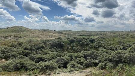 Natuurgebied de Schoorlse Duinen nabij Landal Vakantiepark Duynvallei