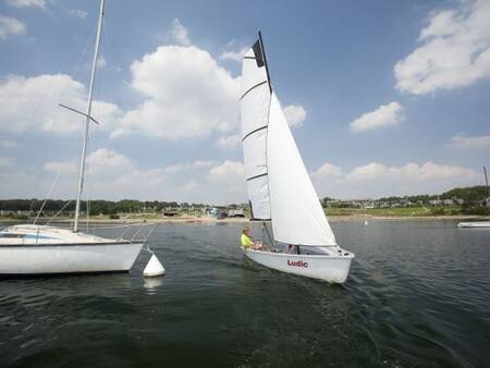 Zeilen op het meer bij vakantiepark Landal Village l'Eau d'Heure