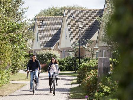 Meerdere villa's op vakantiepark Landal Villapark Vogelmient