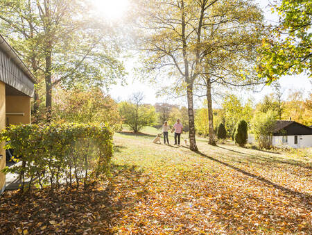 Vakantiehuizen op vakantiepark Landal Warsberg