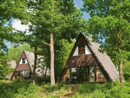 Vakantiehuizen in het bos op vakantiepark Landal Wirfttal