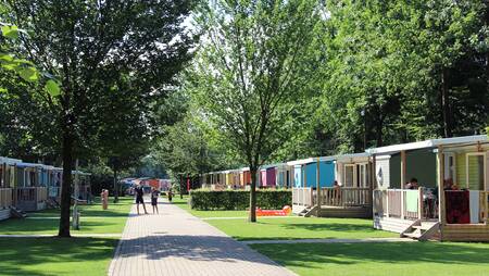 Vrijstaande chalets aan een laantje op vakantiepark Molecaten Bosbad Hoeven