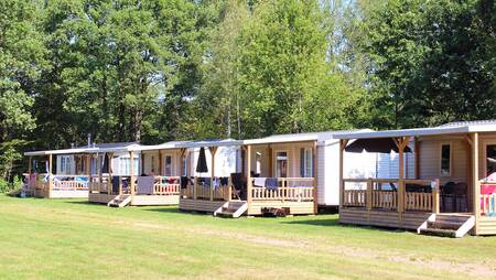 Chalets van het type "Merel" op een veldje op vakantiepark Molecaten het Landschap