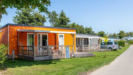 Chalets van het type "Kamille" voor 4 personen op vakantiepark Molecaten Hoogduin