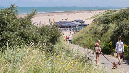 Vakantiepark Molecaten Hoogduin ligt op wandelafstand van de Zeeuwse kust