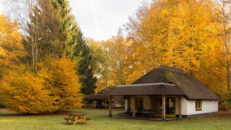 Vakantiehuis type "Buitengoed" met rieten dak op vakantiepark Molecaten Park De Leemkule