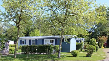 Chalets van het type "Zilvermeeuw" in een laantje op vakantiepark Molecaten Park Wijde Blick