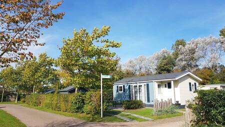 Chalets van het type "Strandloper" op vakantiepark Molecaten Park Wijde Blick