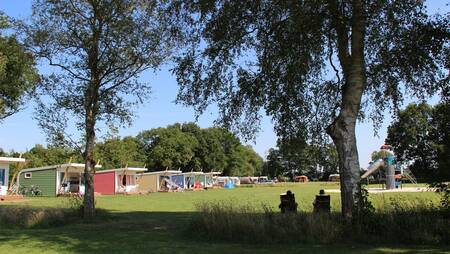 Kleurrijke chalets van het type "Vlinder" op vakantiepark Molecaten Park ’t Hout