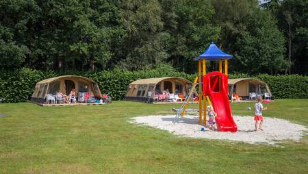 Molecaten tenten op een veldje met een speeltuintje op vakantiepark Molecaten Park ’t Hout