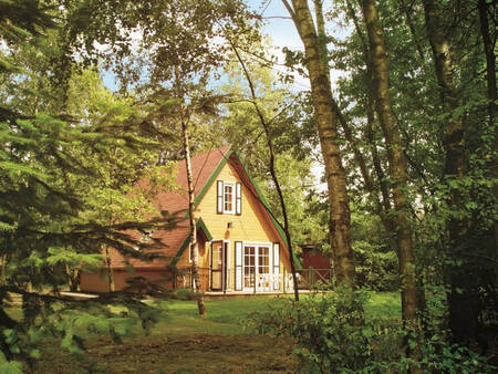 Vrijstaand vakantiehuis tussen de bomen op vakantiepark Park Molenheide