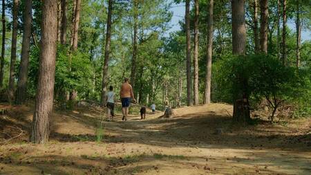 Lekker wandelen in het aangrenzende Wild- en Wandelpark naast vakantiepark Park Molenheide