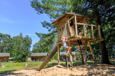 Kinderen spelen in een boomhut bij een kampeerplaats op vakantiepark RCN de Flaasbloem