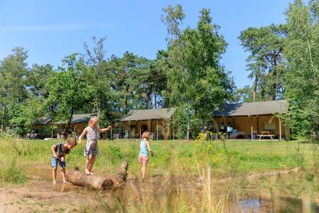 Kinderen spelen voor safaritenten op vakantiepark RCN de Flaasbloem