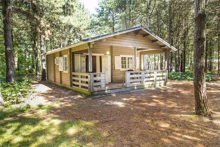 Vakantiehuis type "Forest lodge" in het bos op vakantiepark RCN de Flaasbloem