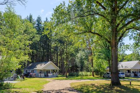 Vakantiehuizen op vakantiepark RCN de Flaasbloem