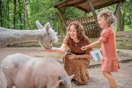 Moeder en dochter in de kinderboerderij op vakantiepark RCN de Jagerstee