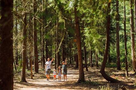 Gezin wandelt door de bossen van de Veluwe bij vakantiepark RCN de Jagerstee