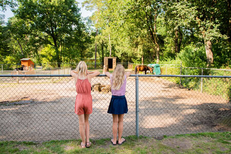 Twee meisjes bij de dierenweide op vakantiepark RCN De Noordster
